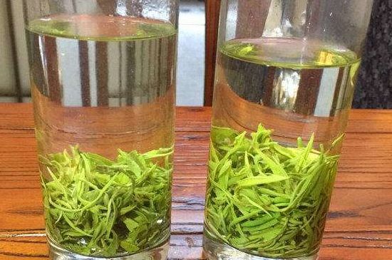 黃金茶的功效及禁忌癥，黃金茶有什么副作用嗎？