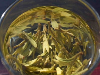 安吉白茶的功效與作用，簡單概括安吉白茶功效
