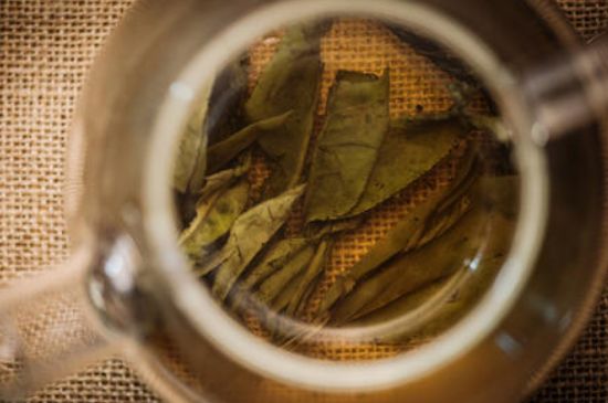 苦丁茶副作用，苦丁可以經(jīng)常喝嗎？