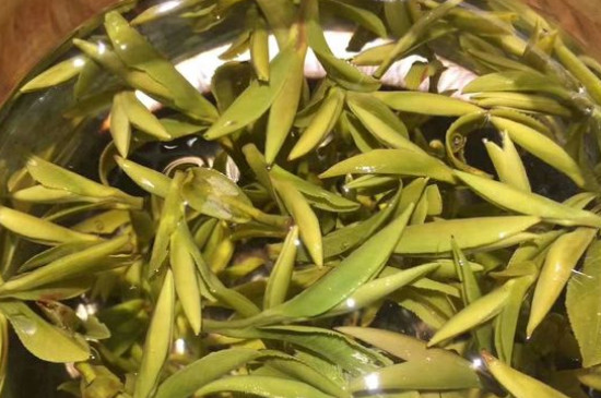 八大茶系都有哪幾種，八大茶系都是什么名字