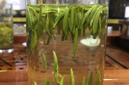 雀舌茶的副作用，雀舌茶什么人不能喝？