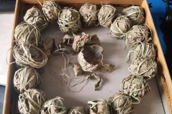 鷓鴣茶用拆開泡嗎，鷓鴣茶要解開繩子泡嗎