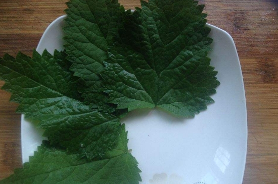 薄荷茶的功效與作用，喝薄荷茶有什么好處？