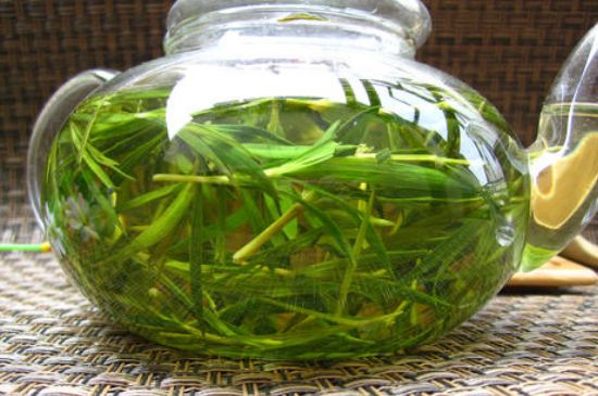 竹葉茶的禁忌，竹葉泡茶的功效禁忌