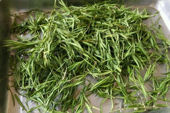 哪類人不適合喝石竹茶，石竹茶的功效與禁忌