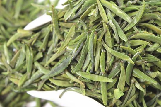 雀舌茶什么人不能喝，雀舌茶的功效與禁忌