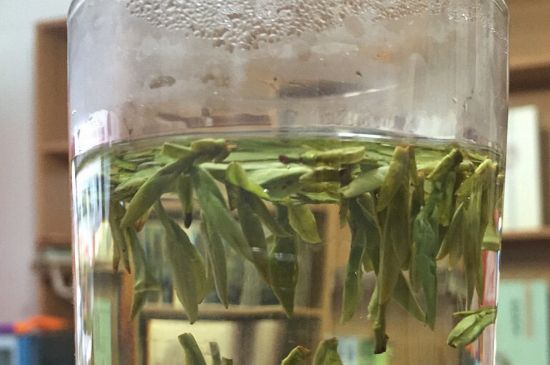 煮茶器能煮龍井嗎，龍井茶能不能用煮茶器圖