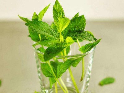 喝茶治口臭嗎，什么茶治口臭好？