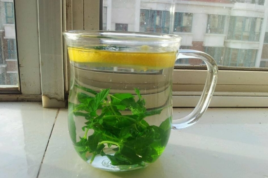 薄荷茶的功效與作用，喝薄荷茶有什么好處？