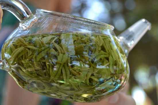 新手學(xué)泡茶的基本常識，從零開始學(xué)泡茶