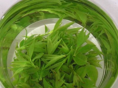 茶葉具有什么功效，茶葉的功效與作用大全