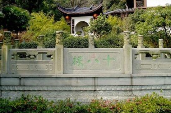 世界最貴的茶葉排行榜，十大最貴的茶