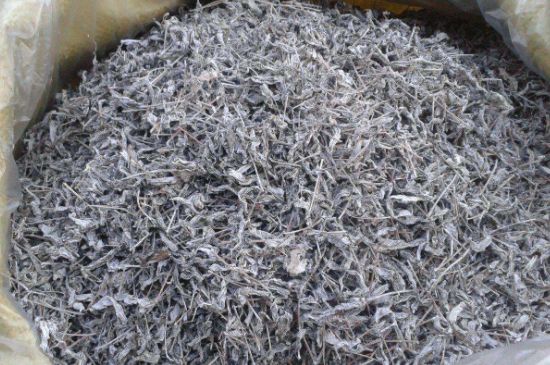 怎樣辨別莓茶發(fā)霉了，莓茶發(fā)霉和白霜的區(qū)別