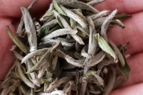 如何買茶葉不上當，怎么買茶葉不被坑？
