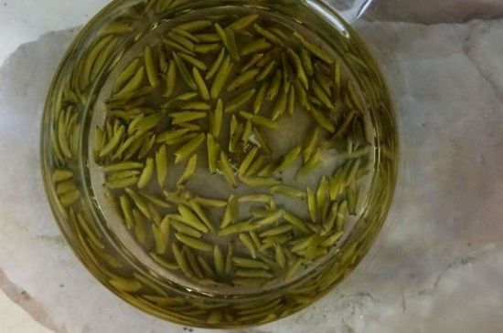 茶葉在哪里買比較好，哪里能買到好的茶葉