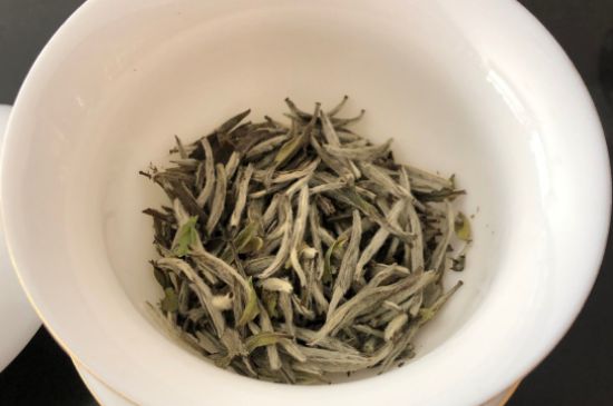 春茶上市白茶的好壞怎么區(qū)分，春白茶怎么分辨好不好？