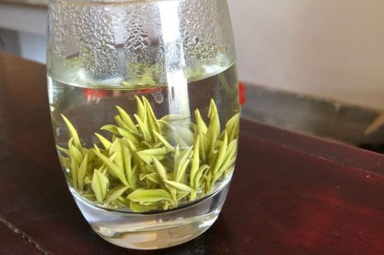 安吉白茶耐寒嗎，白茶適合放冰箱嗎