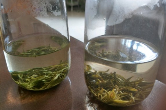 真假碧螺春泡水后區(qū)別，蘇州洞庭碧螺春怎樣鑒別好壞？