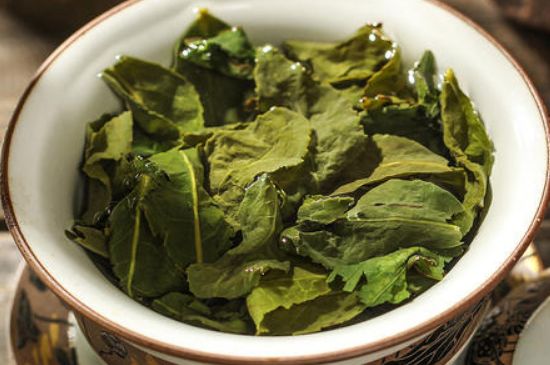 陳茶還是新茶好，茶葉是新茶好喝還是陳茶好喝