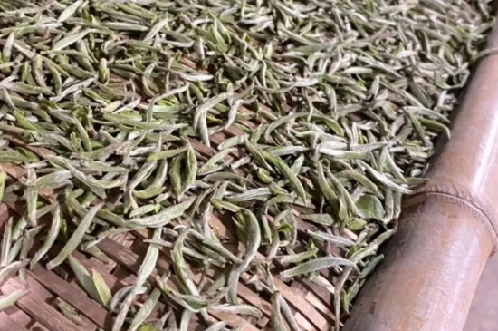 過期茶葉的八大妙用，過期的陳茶葉還能干什么用？