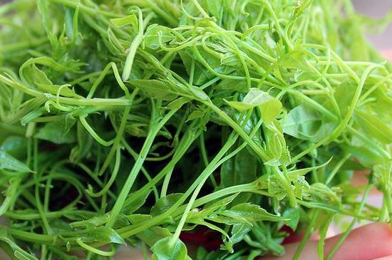 茅巖莓茶保質(zhì)期有多久，張家界莓茶存放時間長了還能喝嗎？