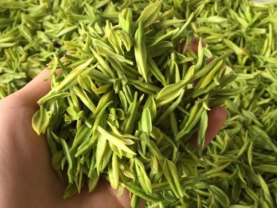 白茶品質(zhì)如何區(qū)分，白茶的優(yōu)劣質(zhì)量辨別方法