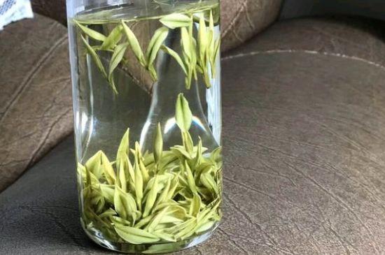 安吉白茶夏天怎么保存，安吉白茶能冷凍儲存嗎？