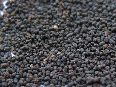 圓形顆粒狀茶是什么茶，像飼料一樣一粒粒的是什么茶？