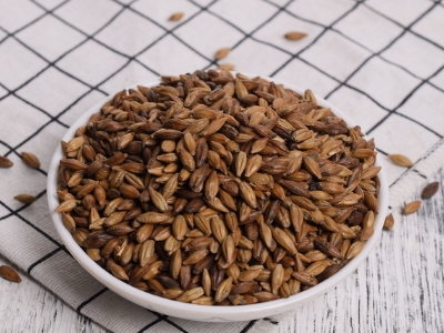 圓形顆粒狀茶是什么茶，像飼料一樣一粒粒的是什么茶？