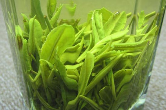 哪種茶葉可以放冰箱，哪些茶不能放冰箱？