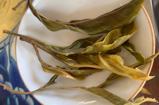 普洱茶十大學(xué)費(fèi)茶排名，吉普H是學(xué)費(fèi)茶？