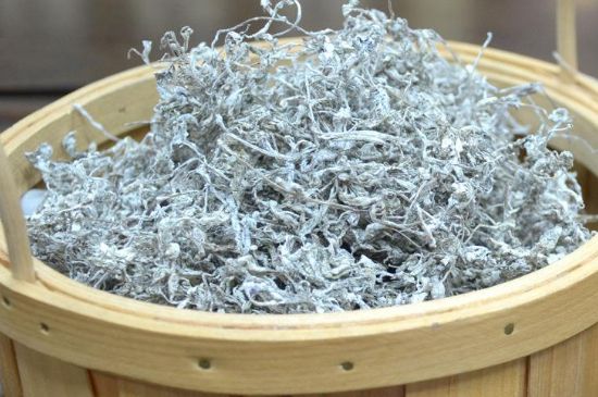 張家界莓茶真假對比，野生莓茶的鑒別方法