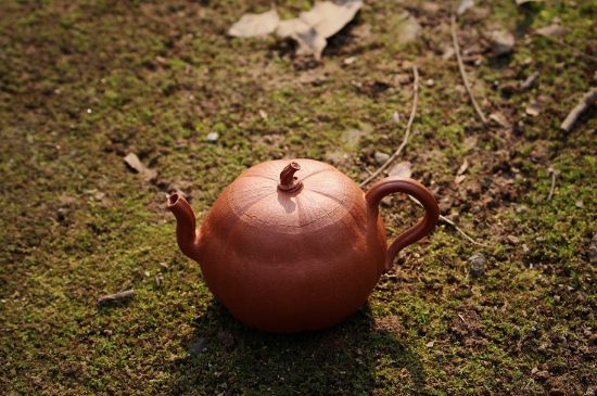 紫砂壺泡什么茶最佳，紫砂壺一般泡什么茶？