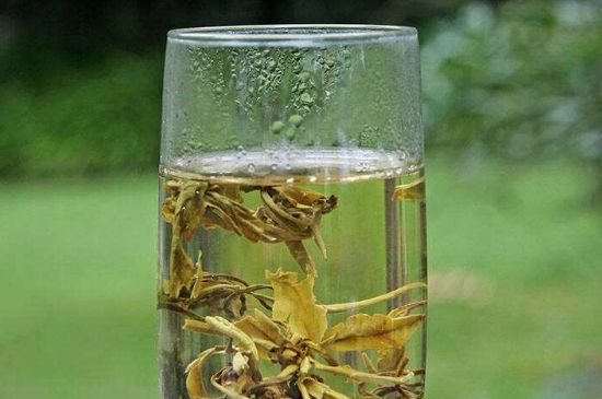 茉莉龍珠什么人不能喝，茉莉龍珠茶什么體質(zhì)不能喝？