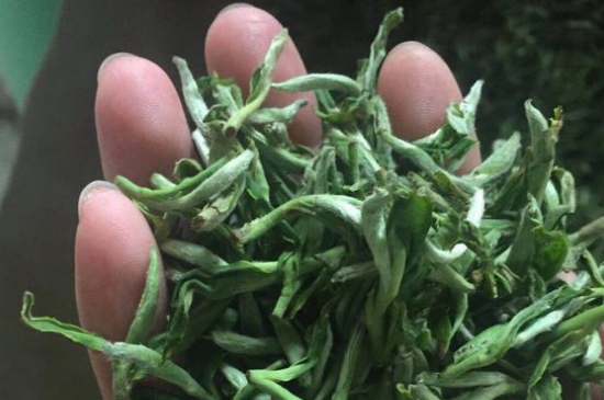 茉莉茶如何制作曬干，自制茉莉茶的做法