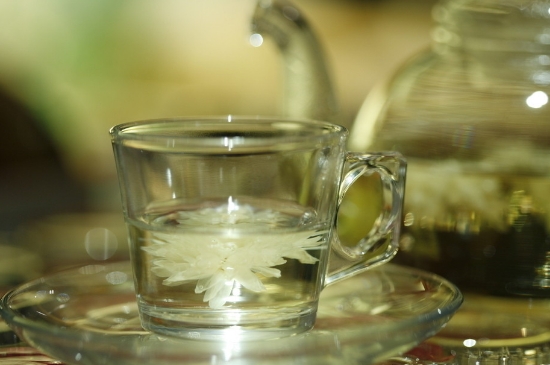 菊花茶天天喝行嗎，每天喝菊花泡茶喝好嗎？