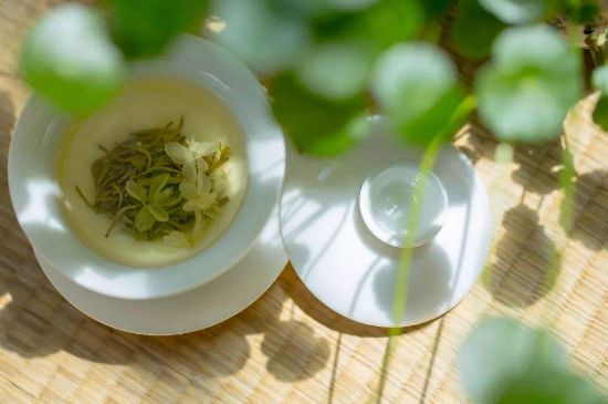 茉莉花茶6種人不要喝，什么體質(zhì)不適合喝茉莉花茶？