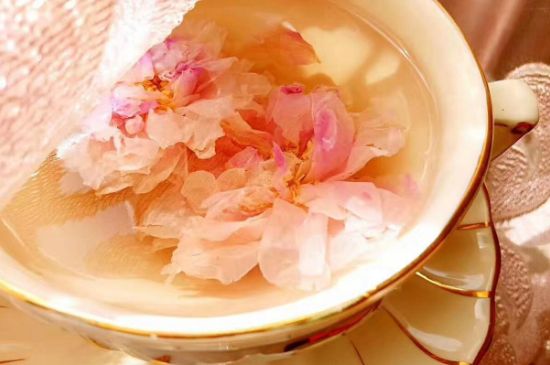 玫瑰花茶一周喝幾次，玫瑰花茶可以天天喝嗎？