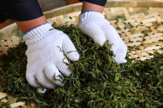 綠茶加工工藝流程圖，綠茶的加工制作包含哪幾個步驟？