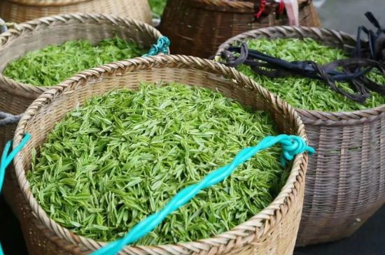 茶葉怎么炒制才香，怎樣炒茶葉更香？