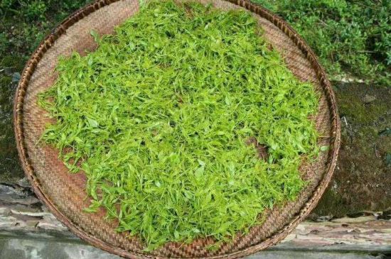 茅巖莓茶加工工藝，莓茶的工藝制作過(guò)程