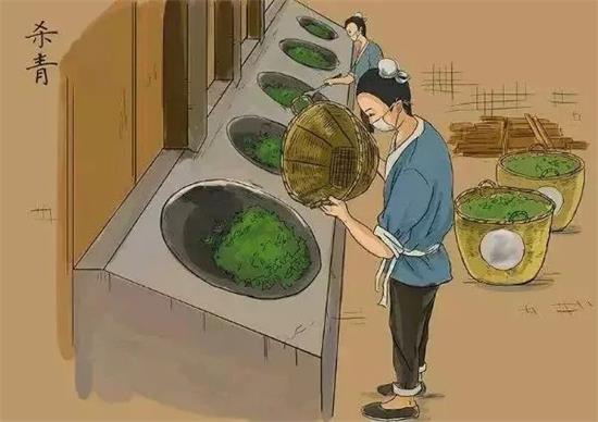 制茶八步驟，制茶工藝流程圖