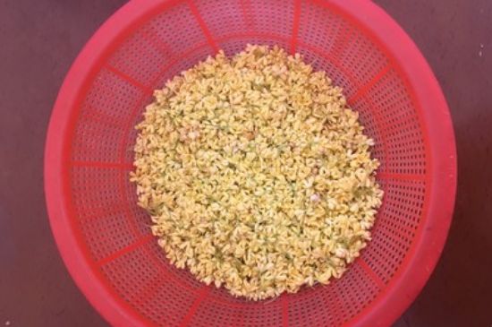 干桂花茶的制作方法，怎樣自制桂花茶？