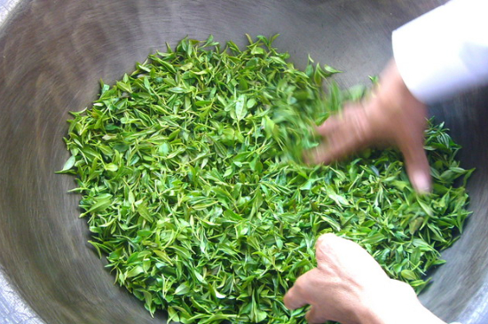 綠茶加工工藝流程圖，綠茶的加工制作包含哪幾個步驟？