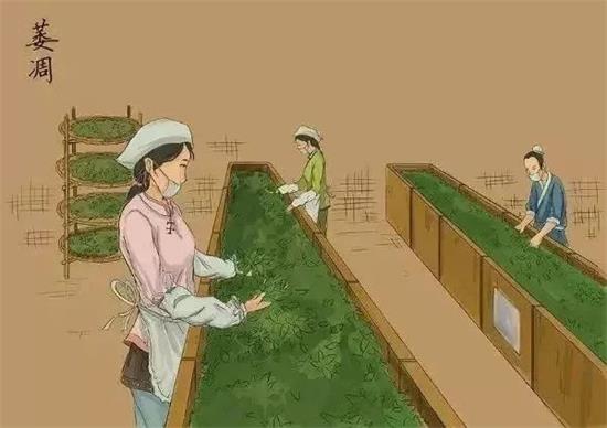 制茶八步驟，制茶工藝流程圖