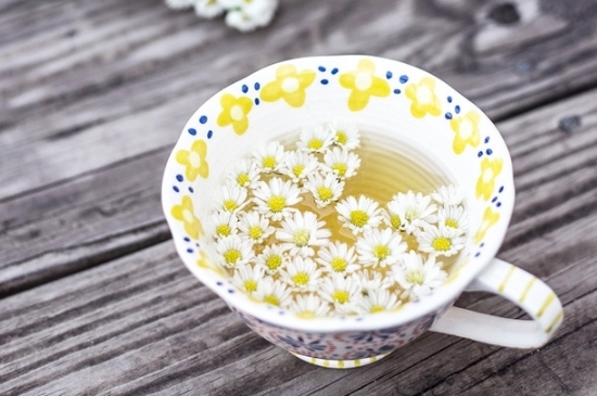 孕婦可以喝菊花茶嗎，菊花對(duì)胎兒有致畸作用？