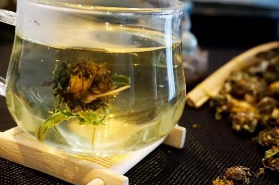 蒲公英最佳搭配，蒲公英茶和什么搭配泡水最佳