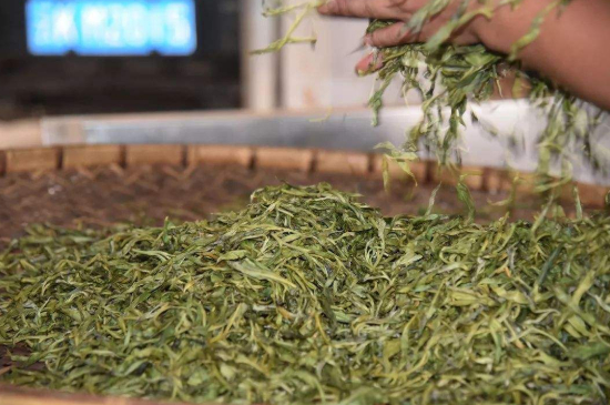 炒青綠茶與綠茶的區(qū)別，烘青和炒青哪個(gè)好喝？