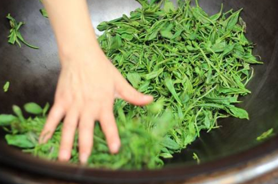 炒青綠茶與綠茶的區(qū)別，烘青和炒青哪個(gè)好喝？