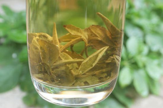 茉莉龍珠泡開后為什么都是梗，茉莉龍珠泡開后什么樣？